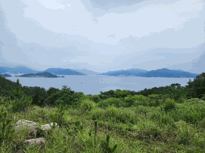 경상남도 거제시 사등면 창호리 1215 전 경매 사진 2