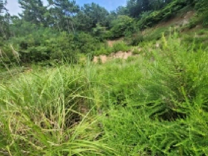 경상남도 거제시 사등면 창호리 1215 전 경매 사진 23
