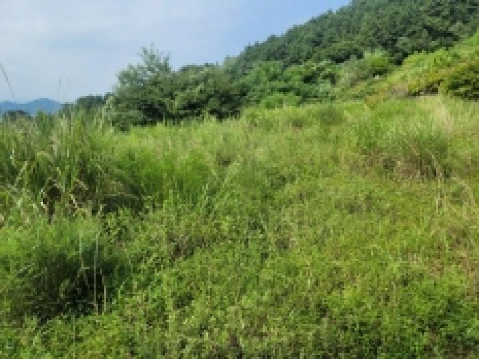 경상남도 거제시 사등면 창호리 1215 전 경매 사진 8