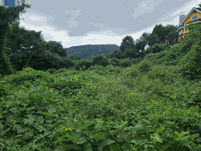 경상남도 거제시 일운면 소동리 146-2 전 경매 사진 1