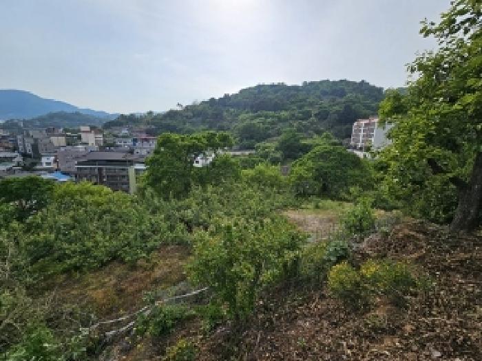 경상남도 하동군 하동읍 읍내리 97 전 경매 사진 17