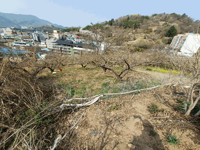 경상남도 하동군 하동읍 읍내리 97 전 경매 사진 5