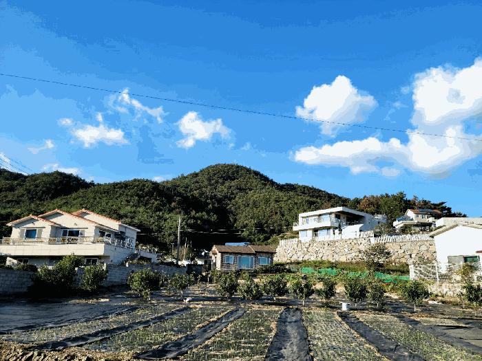 전라남도 여수시 임야