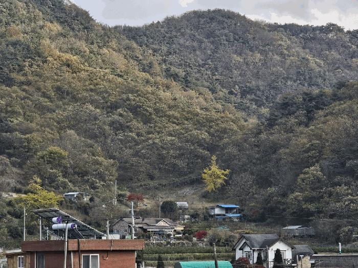 전라남도 순천시 임야