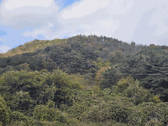전라남도 순천시 서면 학구리 산20 임야 경매 사진 10
