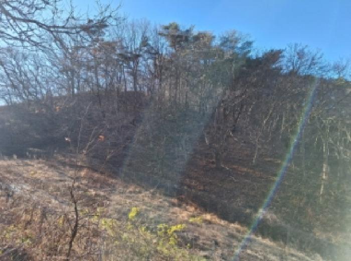 전라남도 순천시 서면 학구리 산20 임야 경매 사진 14