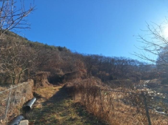 전라남도 순천시 서면 학구리 산20 임야 경매 사진 16