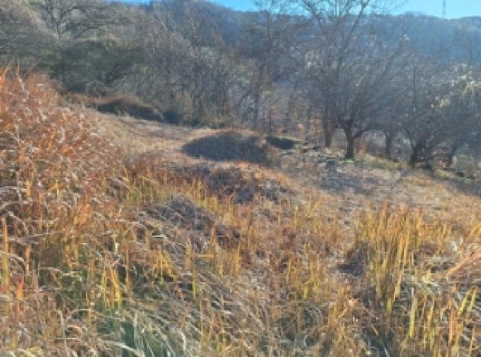 전라남도 순천시 서면 학구리 산20 임야 경매 사진 18