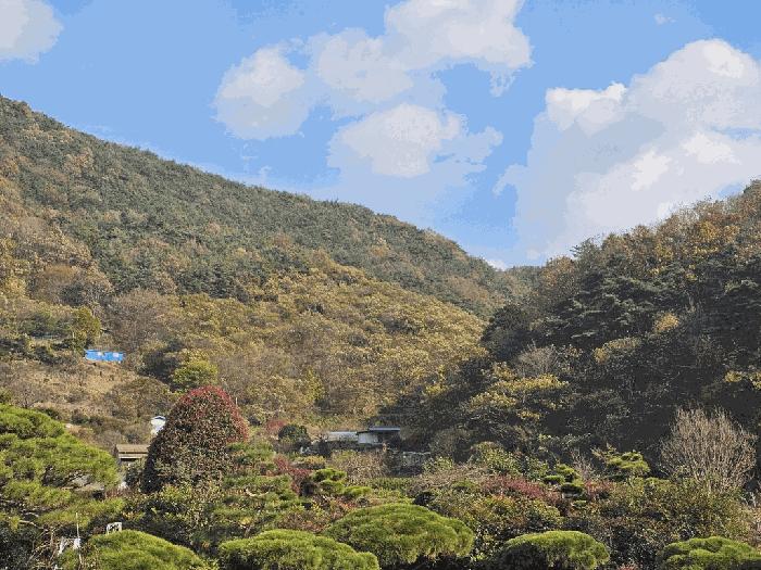 전라남도 순천시 서면 학구리 산20 임야 경매 사진 2