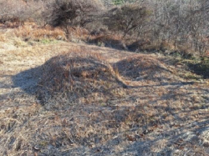 전라남도 순천시 서면 학구리 산20 임야 경매 사진 20