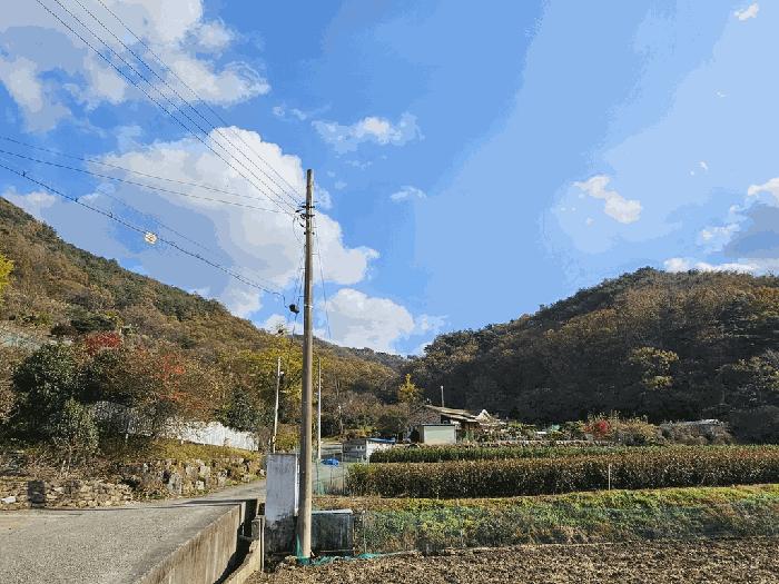 전라남도 순천시 서면 학구리 산20 임야 경매 사진 24