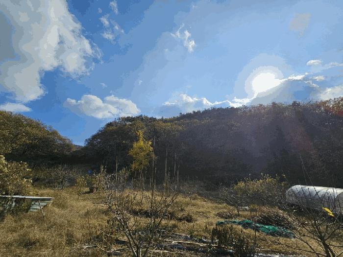 전라남도 순천시 서면 학구리 산20 임야 경매 사진 3