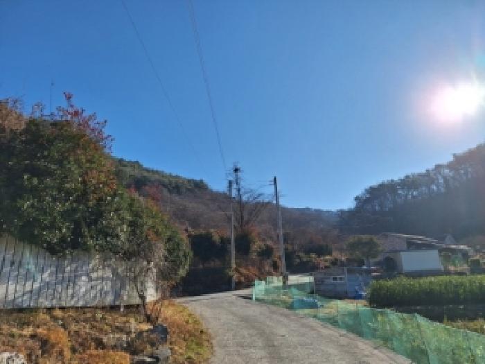 전라남도 순천시 서면 학구리 산199-2 임야 경매 사진 12