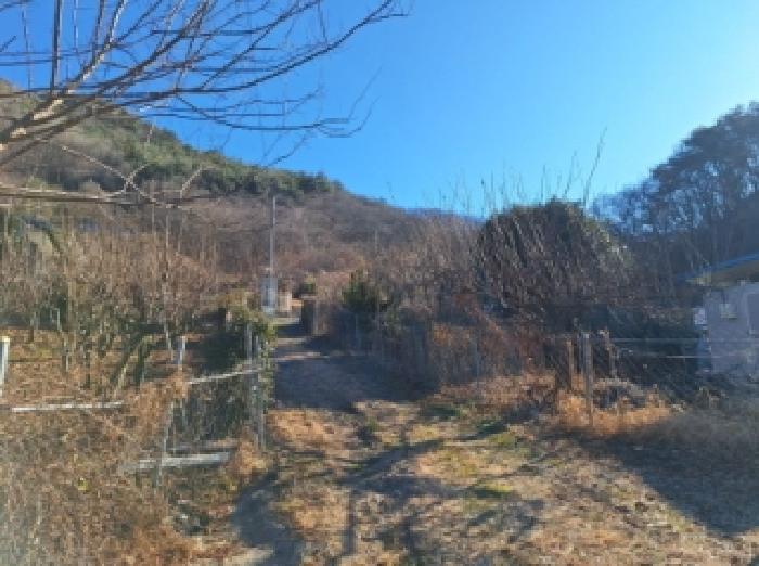 전라남도 순천시 서면 학구리 산199-2 임야 경매 사진 13