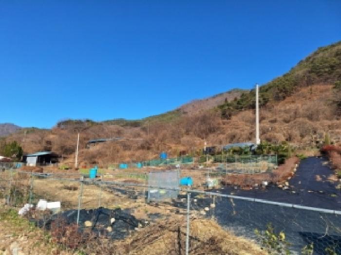 전라남도 순천시 서면 학구리 산199-2 임야 경매 사진 21