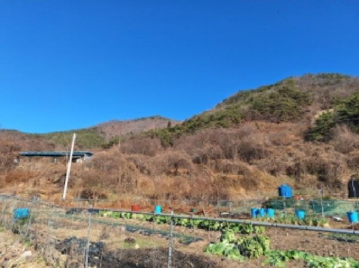 전라남도 순천시 서면 학구리 산199-2 임야 경매 사진 22