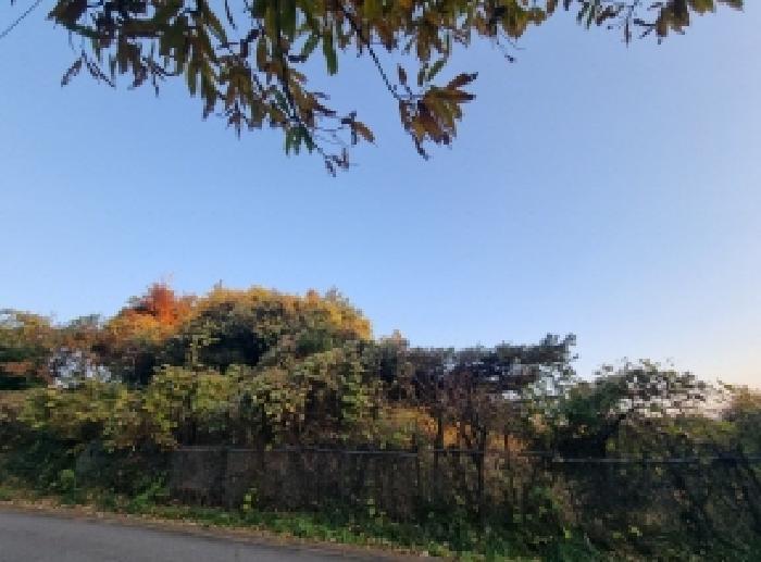 전라남도 광양시 다압면 신원리 1600-1 창고 경매 사진 21