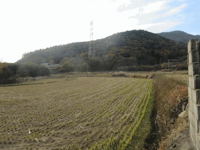 전라남도 여수시 율촌면 산수리 248 답 경매 사진 1