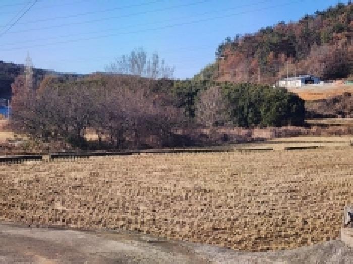 전라남도 여수시 율촌면 산수리 248 답 경매 사진 4