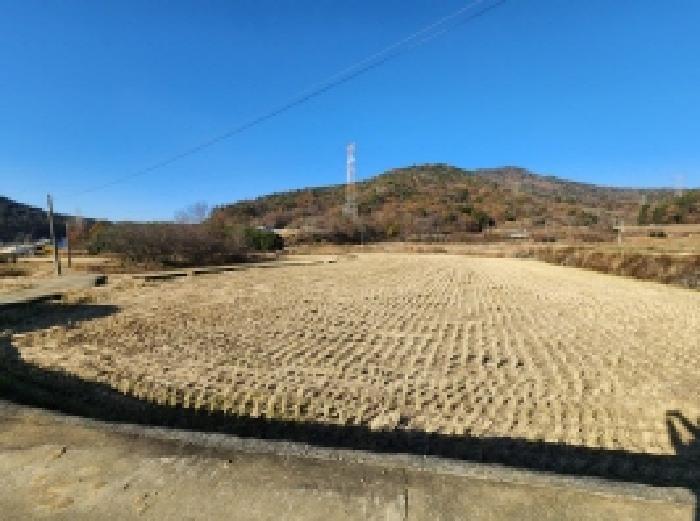 전라남도 여수시 율촌면 산수리 248 답 경매 사진 5