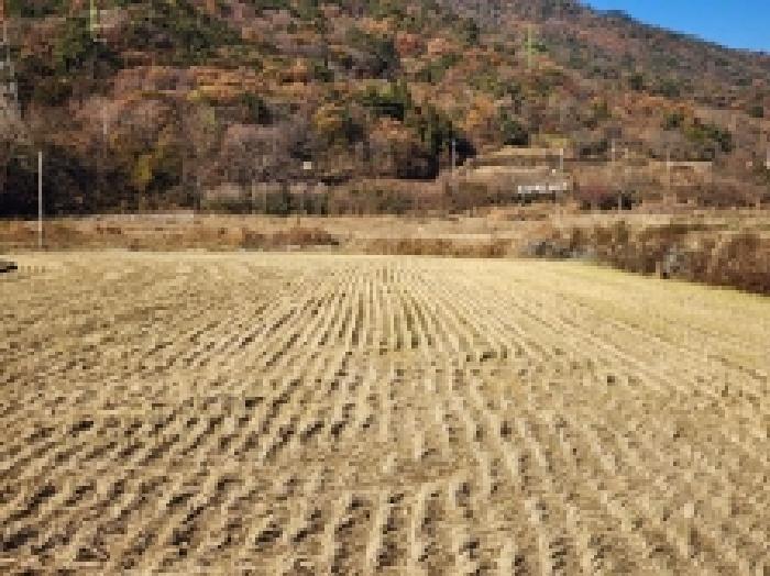 전라남도 여수시 율촌면 산수리 248 답 경매 사진 6