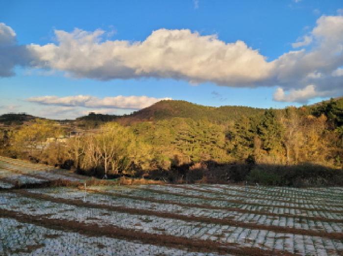 전라남도 고흥군 금산면 석정리 918 전 경매 사진 4