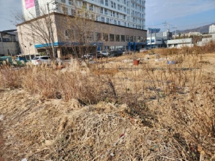 전라남도 광양시 마동 1174-1 대지 경매 사진 12