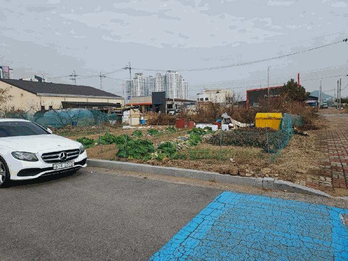 전라남도 광양시 마동 1174-1 대지 경매 사진 8