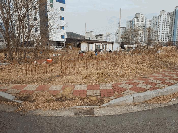 전라남도 광양시 마동 1174-5 대지 경매 사진 1