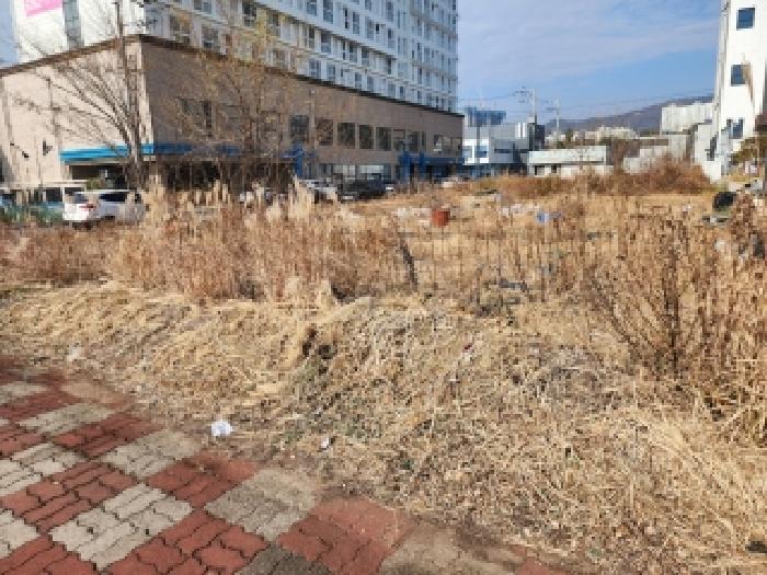 전라남도 광양시 마동 1174-5 대지 경매 사진 11