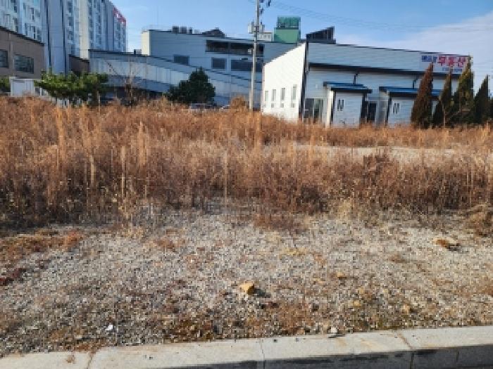 전라남도 광양시 마동 1174-6 대지 경매 사진 15