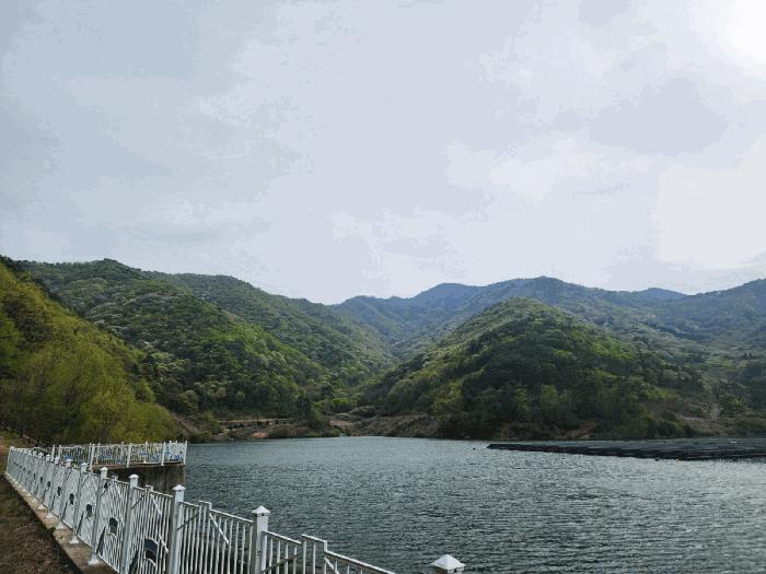 경상남도 사천시 사남면 가천리 산117 임야 경매 사진 1