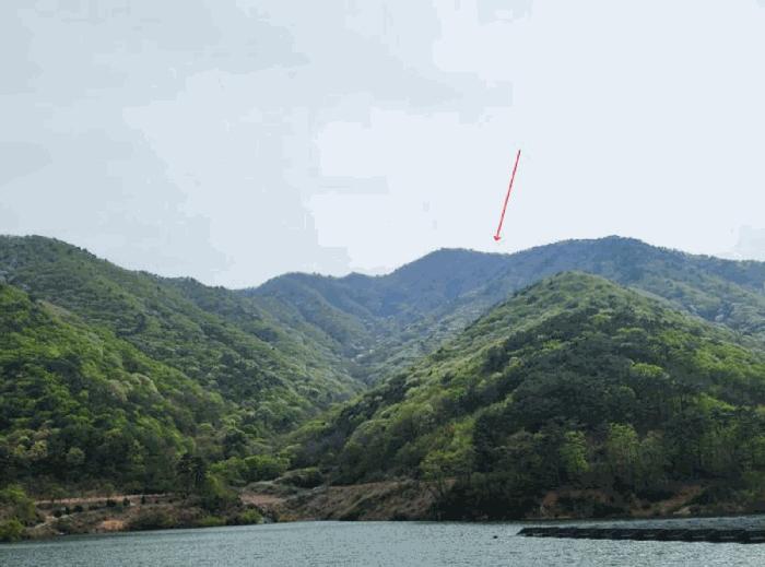 경상남도 사천시 사남면 가천리 산117 임야 경매 사진 2