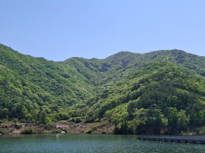 경상남도 사천시 사남면 가천리 산117 임야 경매 사진 4
