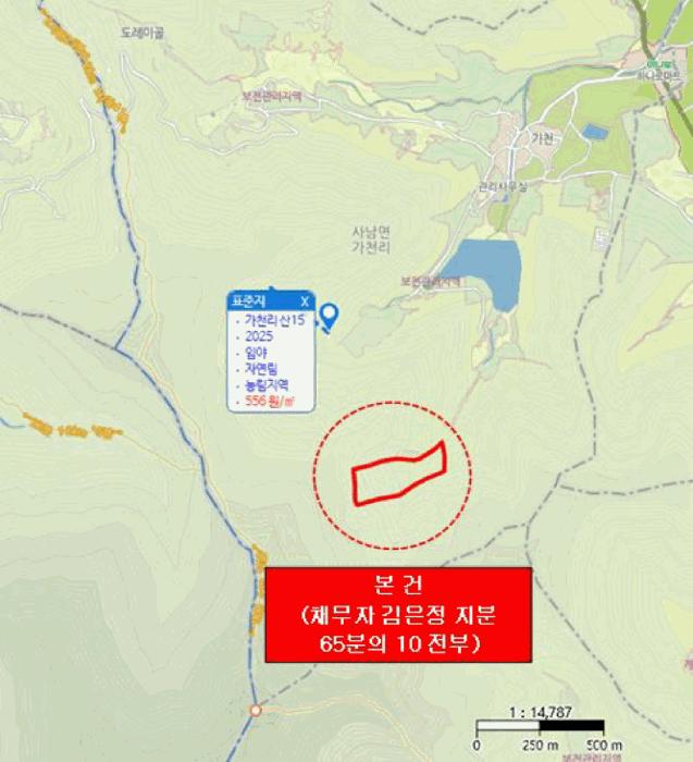 경상남도 사천시 사남면 가천리 산117 임야 경매 사진 5