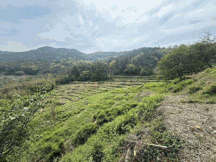 경상남도 남해군 답