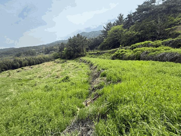 경상남도 남해군 고현면 갈화리 1043 답 경매 사진 3
