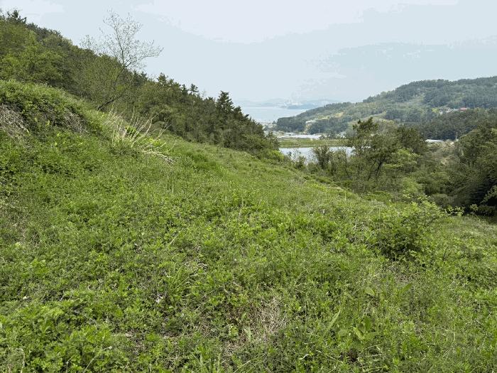 경상남도 남해군 고현면 갈화리 1043 답 경매 사진 8