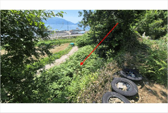 경상남도 남해군 창선면 광천리 569 전 경매 사진 2
