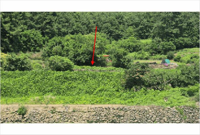 경상남도 남해군 창선면 광천리 569 전 경매 사진 3