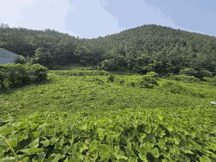 경상남도 남해군 삼동면 금송리 312 답 경매 사진 3