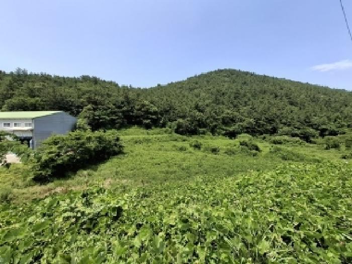 경상남도 남해군 삼동면 금송리 312 답 경매 사진 4