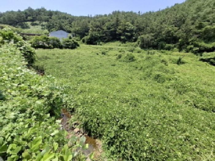 경상남도 남해군 삼동면 금송리 312 답 경매 사진 5