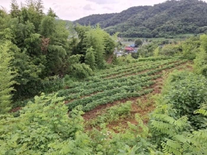 경상남도 진주시 정촌면 화개리 779-6 전 경매 사진 7