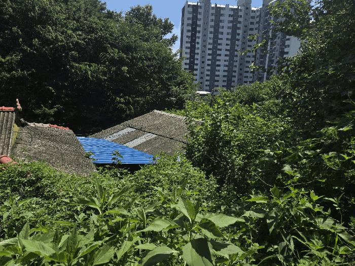 경상남도 진주시 유곡동 120-5 주택 경매 사진 3