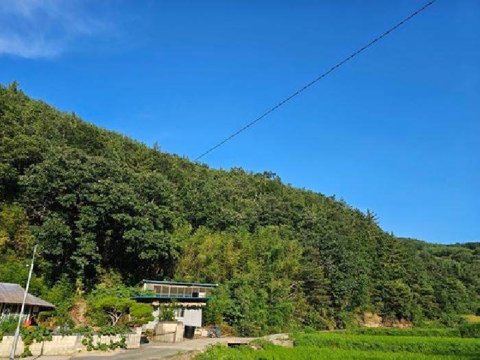 경상남도 진주시 미천면 효자리 산26 임야 경매 사진 7
