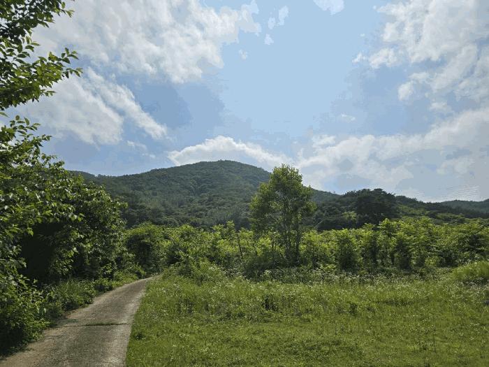 경상남도 진주시 명석면 신기리 산191 임야 경매 사진 4