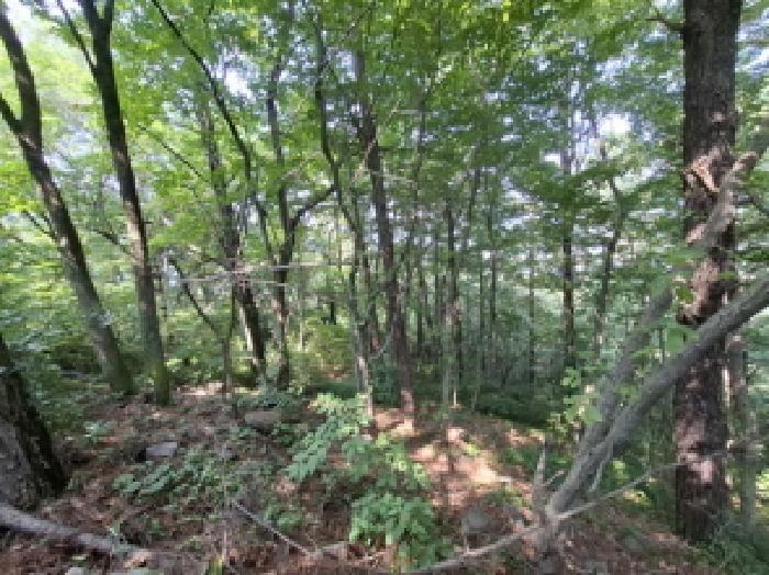 경상남도 진주시 명석면 신기리 산191 임야 경매 사진 5