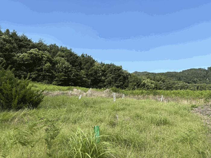 경상남도 하동군 고전면 성천리 산119-7 임야 경매 사진 3