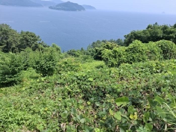 경상남도 남해군 남면 홍현리 223-2 전 경매 사진 5